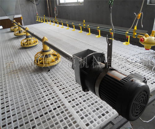 諸城大牧源機械 養雞自動化養殖設備型號及農林牧漁機械配件制造解析